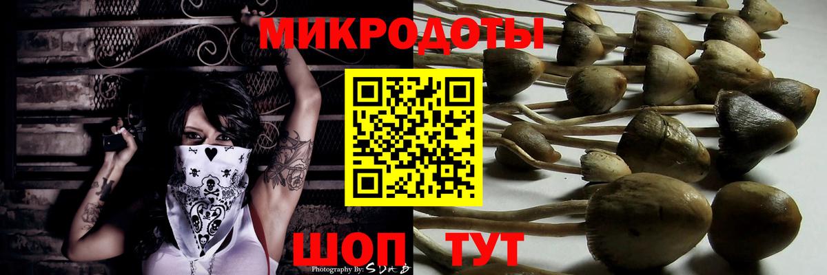 Галлюциногенные грибы прущие грибы Северобайкальск