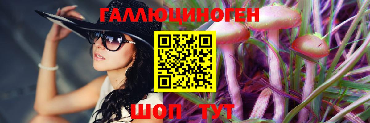 Галлюциногенные грибы Magic Shrooms  Галлюциногенные грибы Cubensis  Вход с VPN  Северобайкальск 